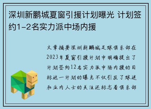 深圳新鹏城夏窗引援计划曝光 计划签约1-2名实力派中场内援